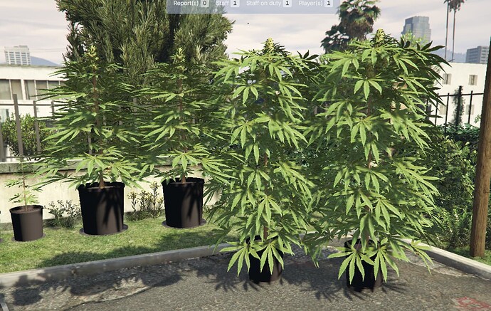 Custom weed props thumbnail 4