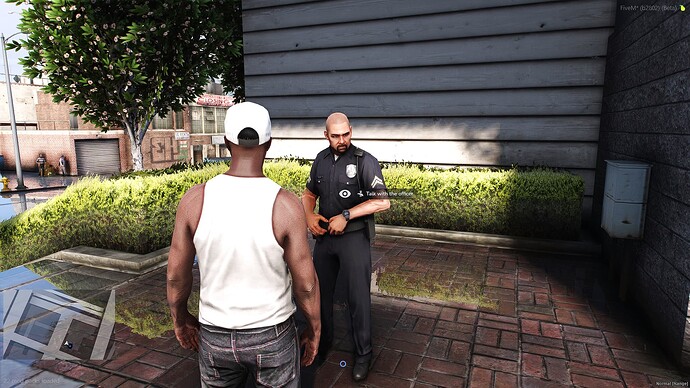 [ESX/QBCORE] nt_dialogsystem thumbnail 4