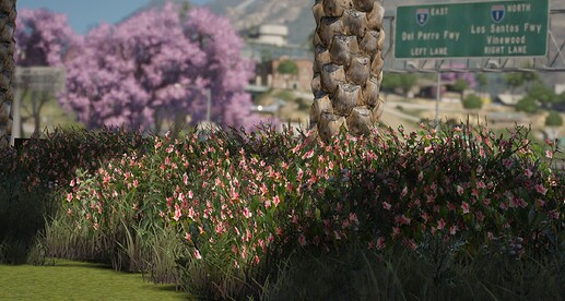 Pillbox Wellness Park + Cafe MLO [MLO] [PAID] thumbnail 6