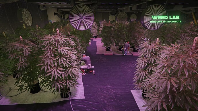 Drugs V_ Laboratories _ FiveM Script 1-1 screenshot