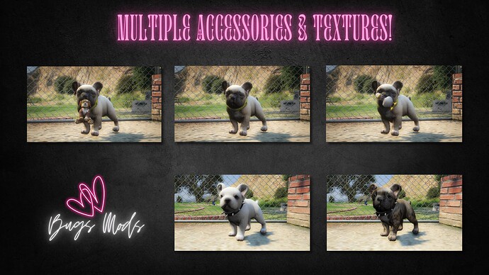 French Bulldog Puppy thumbnail 2