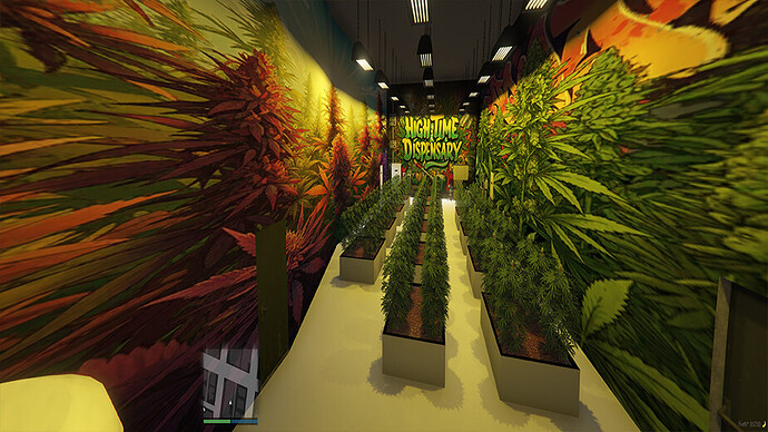 High Time Dispensary MLO thumbnail 12