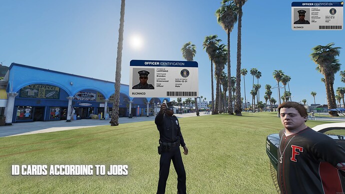 ID Card 0-24 screenshot