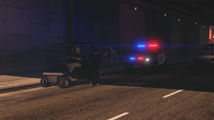 fivemscreenshot2