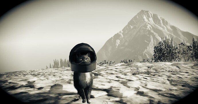 Jim-Freecam - Photo/Camera Tool thumbnail 4