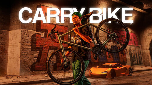 carry bike1.1