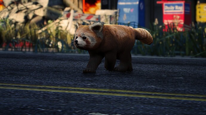 [Ped] Red panda thumbnail 2