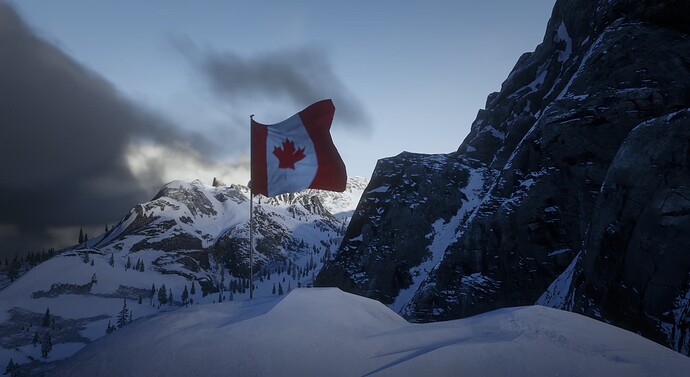 ca_flag