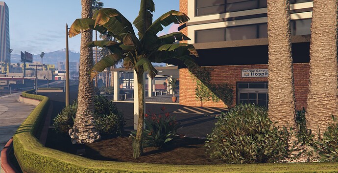 Sunrise Sanctuary FD thumbnail 5