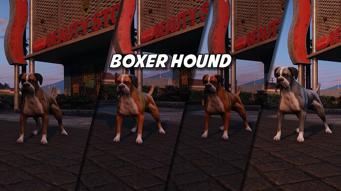 boxerhoundpf