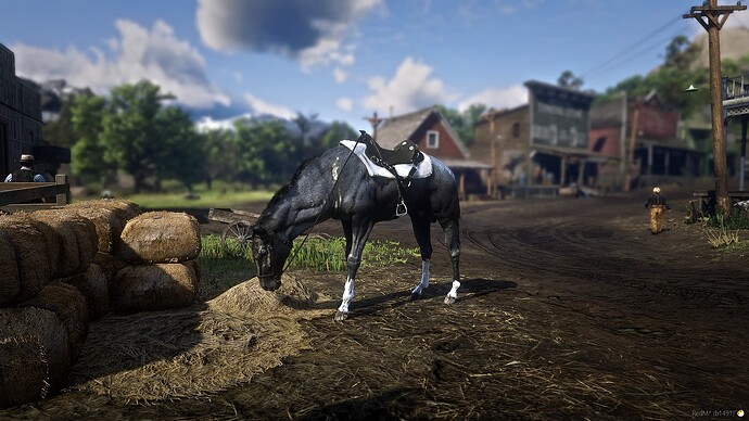 RedM_GTAProcess 2025-05-05 21-33-34_143