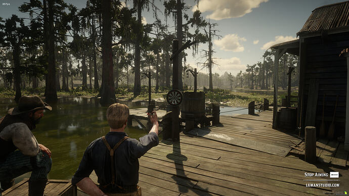 RedM darts third person swamp