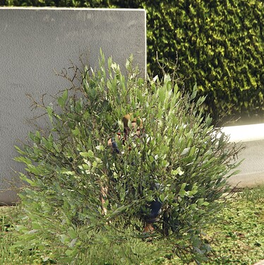 Hat, Masks and more as items thumbnail 3