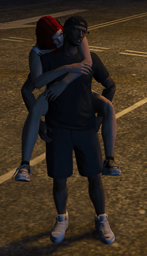 LYP CARRY SYSTEM thumbnail 2