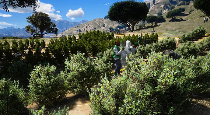 Island Weed Field thumbnail 11