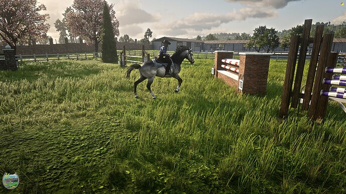 RedM_GTAProcess 2025-05-09 21-25-29_463