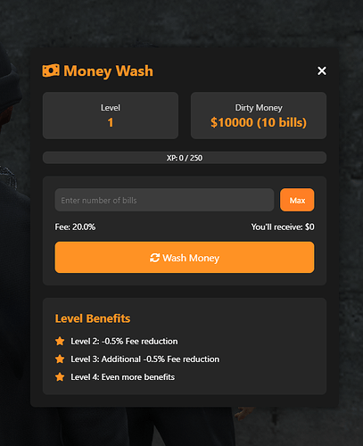 moneywashpreview