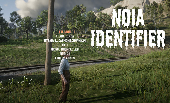 noia identifier