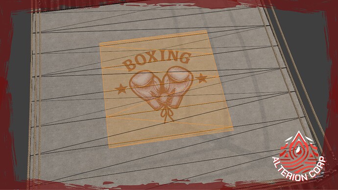 boxing ring customisation