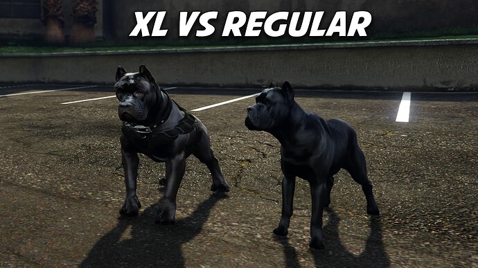 canecorsosize