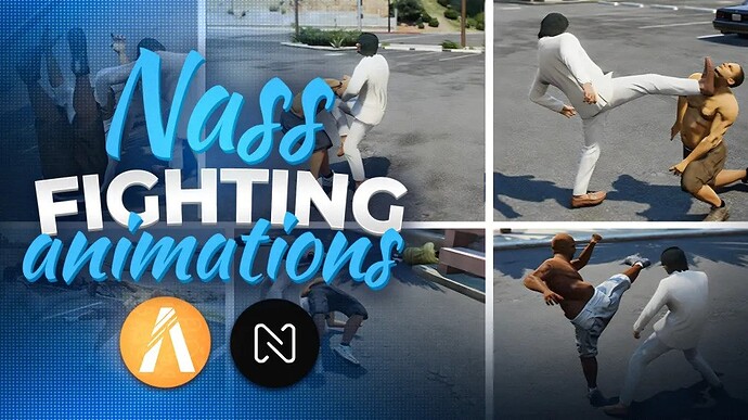 nass_fighting