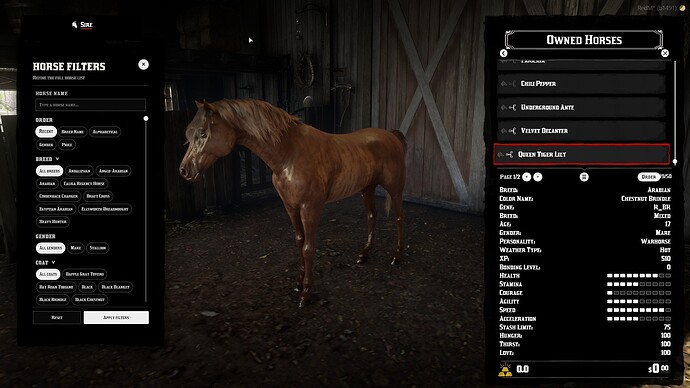 horsemarket