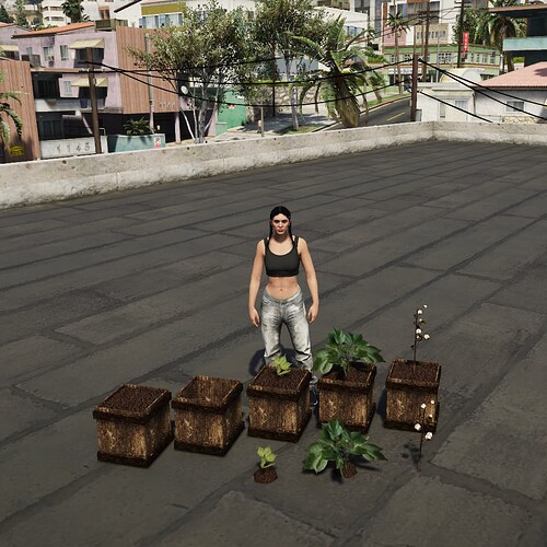 [PROPS] [PAID] Cotton plant thumbnail 2