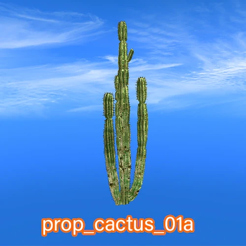 prop_cactus_01a