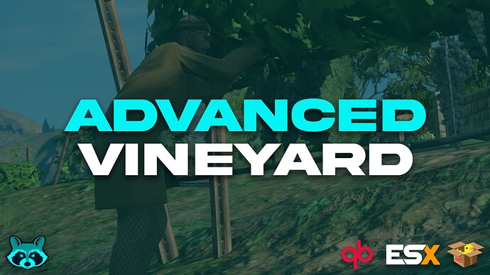 stevo_vineyard_youtube