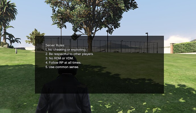 server rules