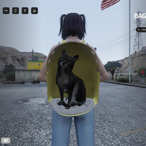 Pet Backpacks thumbnail 4