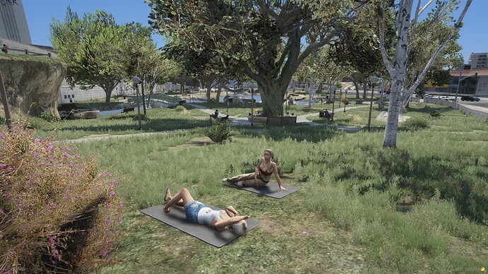 Park Avenue Npo thumbnail 2