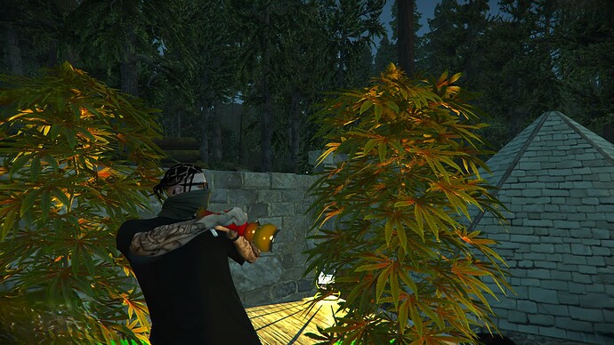 Screenshot_2024-09-21_195655