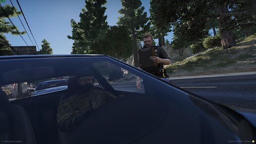 gameplaycam