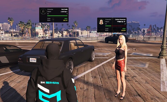 fivem-player-info