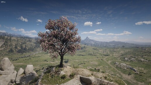 RedM_b1436_GTAProcess_9Kzk7mh8qM