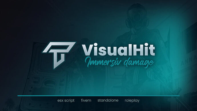 visualhit