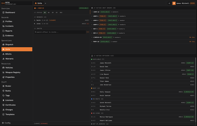 VX_MDT — LAW / EMS / JUDICIAL RECORDS PLATFORM thumbnail 6