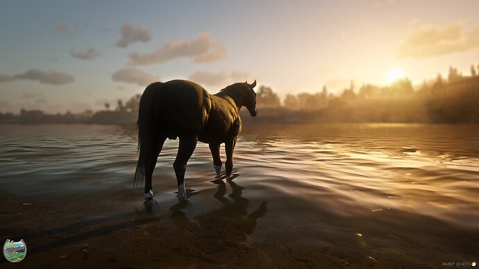 RedM_GTAProcess 2025-05-11 20-33-37_673