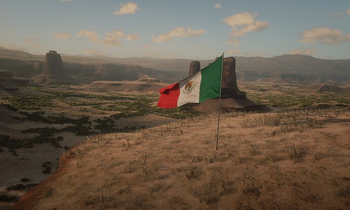 mx_flag
