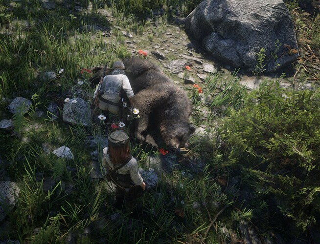ÁoifeBear
