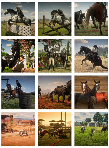 Photo collage of horseback moments on The Rift RedM Equestrian server, including show jumping, trail riding, grooming, foals, and cattle herding