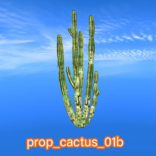 prop_cactus_01b