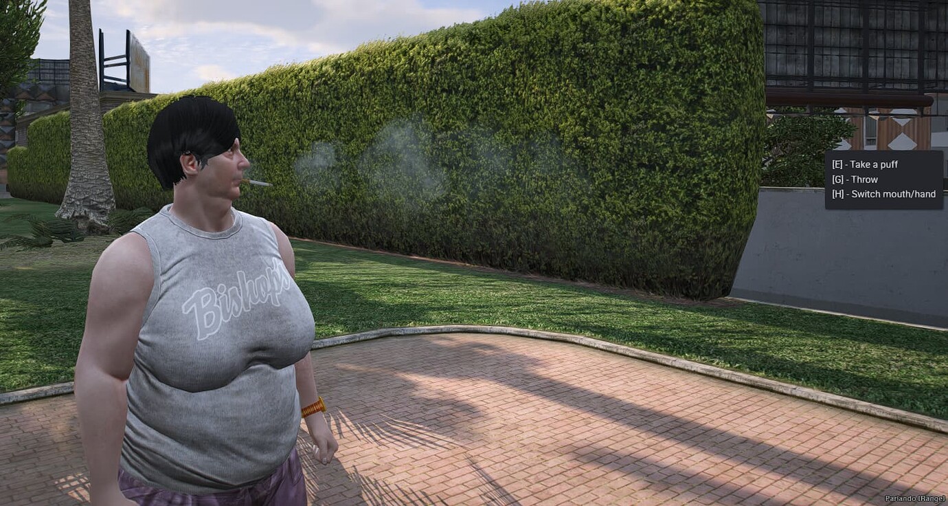 Realistic Smoking System - FiveM Releases - Cfx Forum