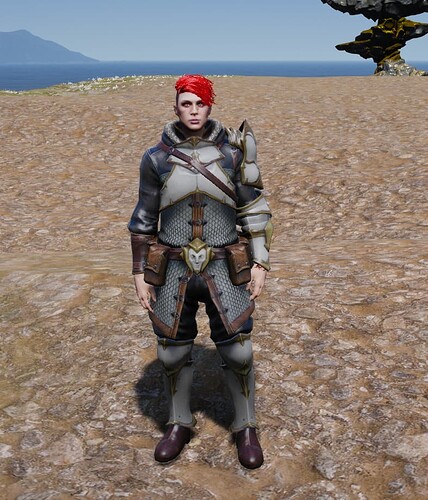 Paladin Armor [PAID] thumbnail 2