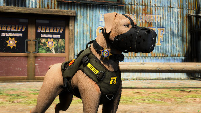 Doberman Adult K9 6
