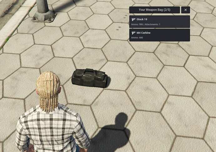 weaponbag22