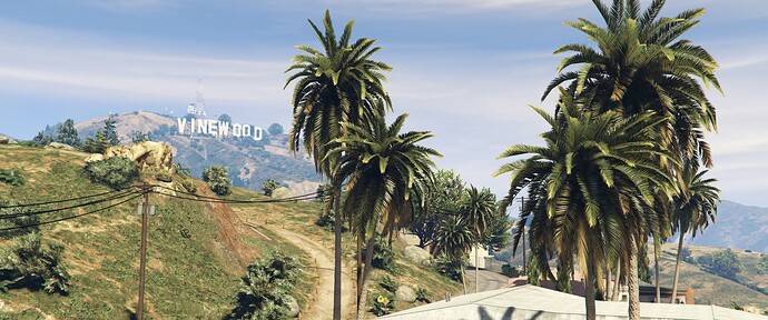 Vinewood Hills
