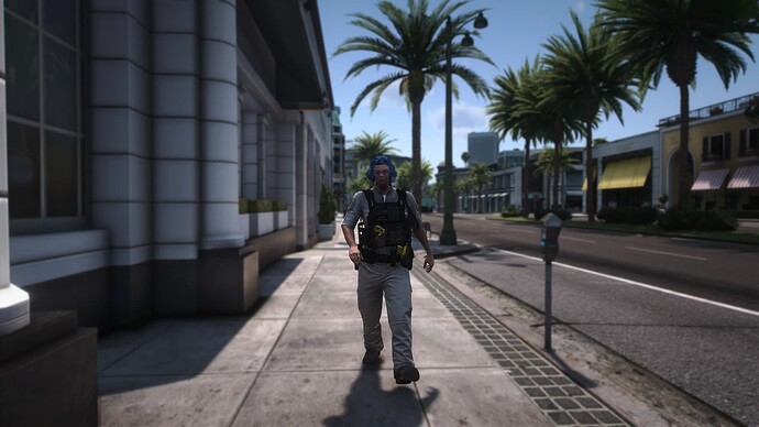 FiveM_b3095_GTAProcess_2024-12-31_00-00-56