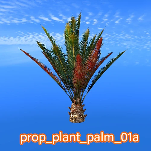 prop_plant_palm_01a